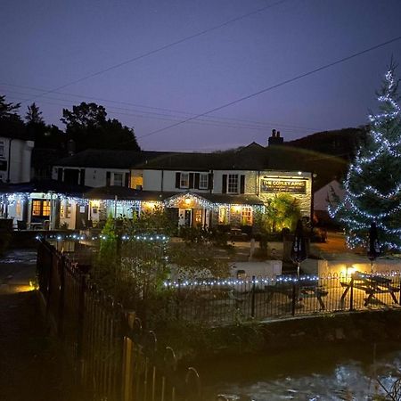 فندق The Copley Arms لوي المظهر الخارجي الصورة